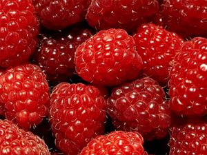 framboise.jpg