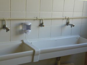 IMGP0814