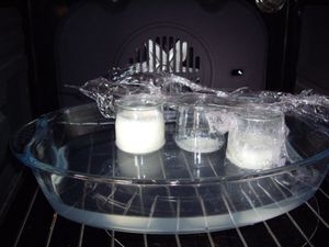 30032010-004.JPG