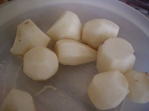 31052010 004