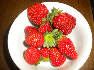 fraises3