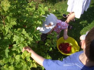 029-copie-3