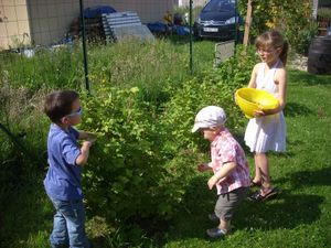 031-copie-3