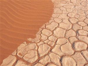 terre-aride