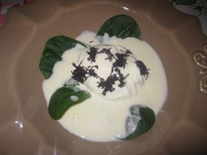 janvier-2013-041.JPG
