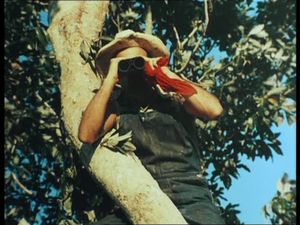 2000-maniacs-image-5.jpg