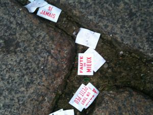 faute-de-mieux.JPG