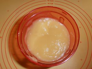 013-copie-4.JPG