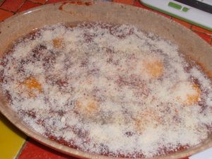 005-copie-9.JPG