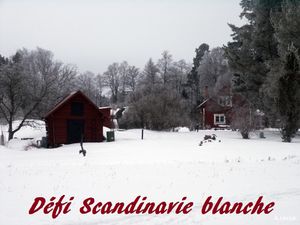 dc3a9fi-scandinavie-blanche