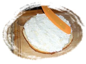 spatule mastrad
