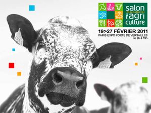 Foire aux celibataires esparros
