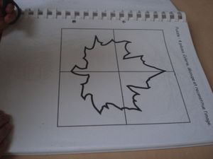 006 (2)