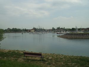 Lac du Der dimanche (14)