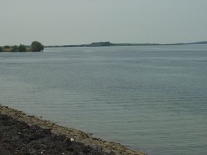 Lac du Der dimanche (16)