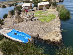 Puno lac Titicaca Iles Uros 066