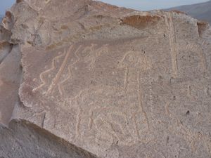 Petroglyphes Toro Muerto 28