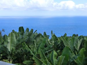 AB--LA-PALMA-suite--1--100.JPG
