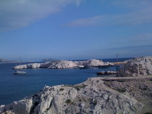 Photo 038