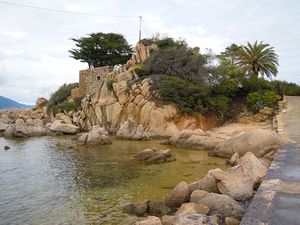 DSCN4631