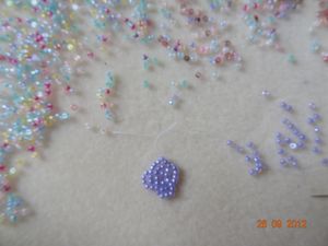 DSC01930.JPG
