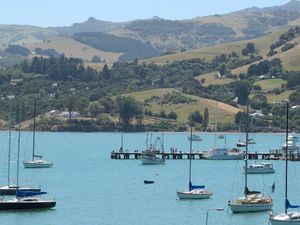 Akaroa Harbour 10