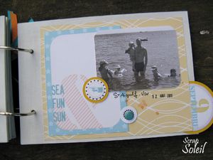 Avis de grand soleil (14)