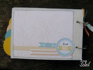 Avis de grand soleil (17)