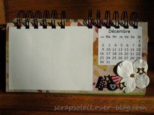 Calendrier 2013 bis (11)