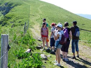 P1010359_puy-violent.JPG