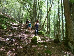 P1010372_puy-violent.JPG