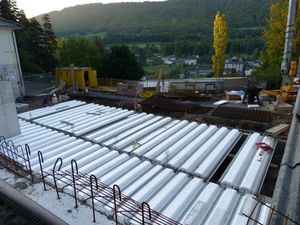 P1010611-copie.JPG