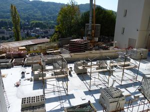 P1010671-copie.JPG
