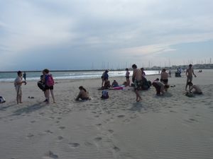 P1010212.JPG