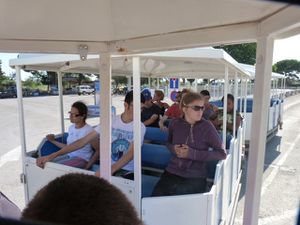 P1010216.JPG
