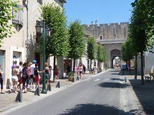 P1010367.JPG
