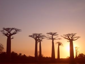 rencontre femme morondava
