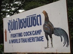 0138 Sukhothai - Parc historique