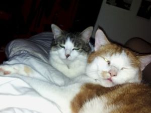 2012-03-23-19.35.28.jpg