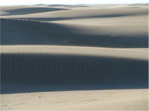 Dune--Espiguette----1.jpg