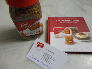 012-copie-1.JPG
