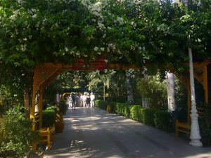 P1020581.JPG