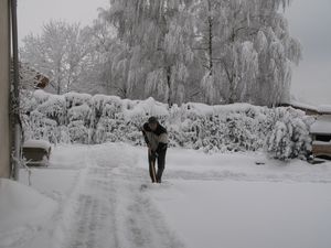 neige-fevrier-2012 6757