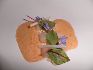 Les Magnolias 003