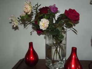 DSCF2746.JPG