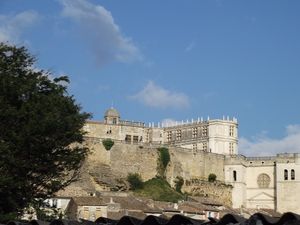 DSCF2979.JPG