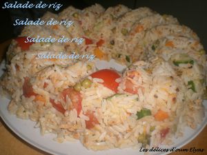 Salade de riz (3)
