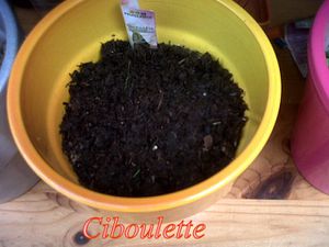 IMG00186-20120801-1629.jpg