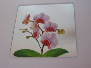 miroir-orchidees-branche-fleurie-milieu-copie-1.jpg