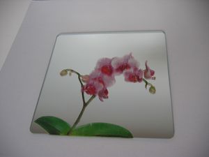 miroir-orchidees-une-branche-droite.jpg